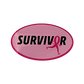 Decal Collection – SURVIVOR